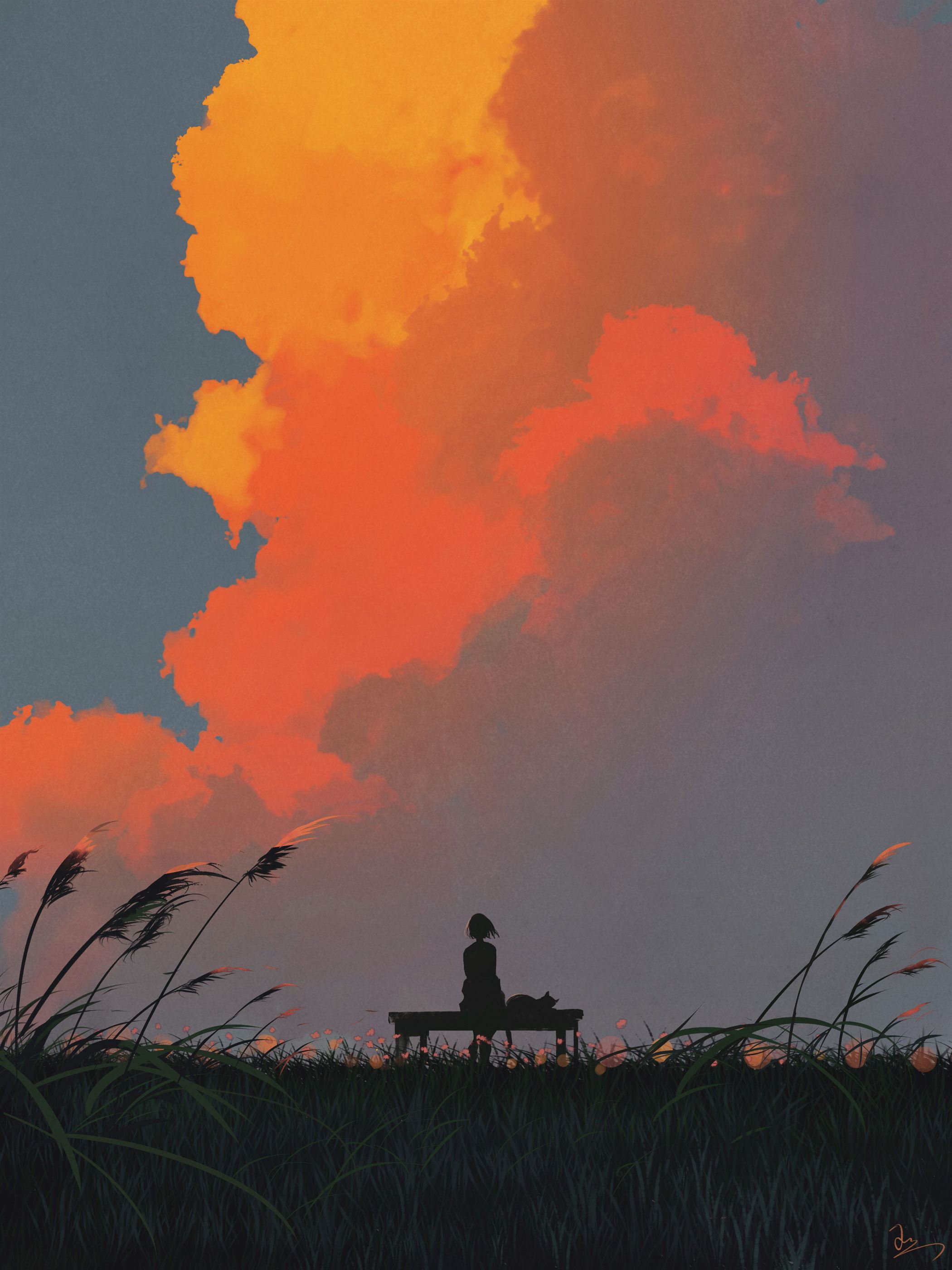 cover of next post
